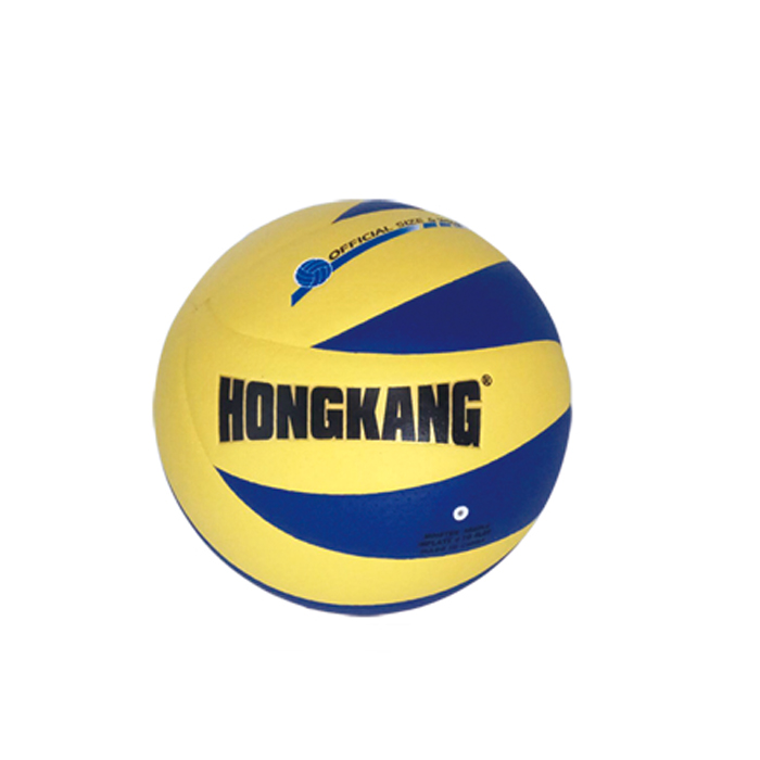 HK-PK1005高级比赛排球